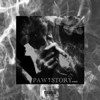 PAW Story Remix