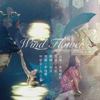 【蓝色大海的传说OST】风之花(Wind Flower)