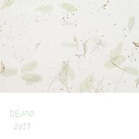 demo 2017