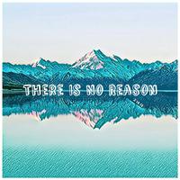 There Is No Reason