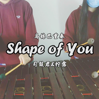 「Shape of You」marimba ft.柠露