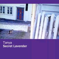 Secret Lavender