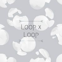 Loop x Loop