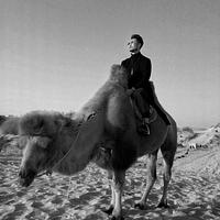 《沙漠骆驼》