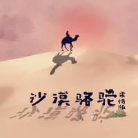 沙漠骆驼（柔情版）