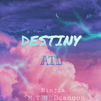 Destiny (遮风挡雨remix)