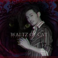 猫的舞步/Waltz of cat