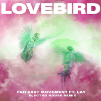 Lovebird (Remix)