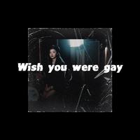 Wish you were gay