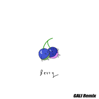 李佳隆-Berry(GALI Remix)