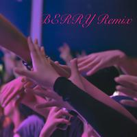 BERRY(吴海啸Remix）