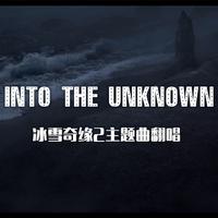 Into The Unknown （Cover Panic! At The D...