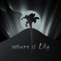 Where Is Lily