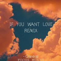 IF YOU WANT LOVE REMIX