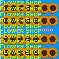 FlowerShop - Single