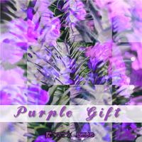 Purple gift