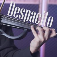despacito小提琴炫技版