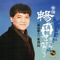 叶启田 台语 畅销辑 第一辑