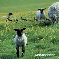 Marry had a little lamb