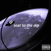soar to the sky