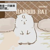 BANBOO RAT