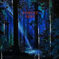 迷雾森林 | ForestMist