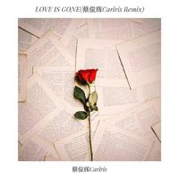Love Is Gone (蔡俊辉Carlris Remix)