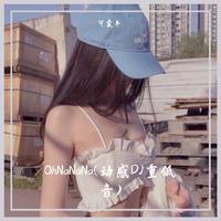 OhNaNaNa(动感DJ重低音)
