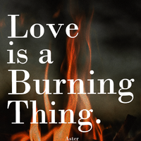 Love Is A Burning Thing