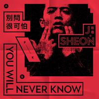 You'll Never Know / 别问很可怕