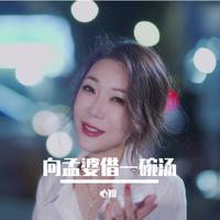 向孟婆借一碗汤