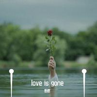 love is gone
