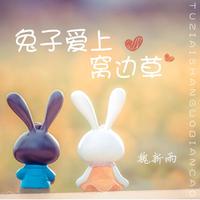 兔子爱上窝边草(DJ默涵版)