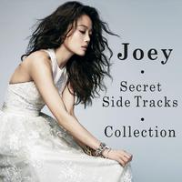 Joey: Secret Side Tracks Collection