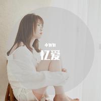 忆爱(cover :霈丹(浪哥)）