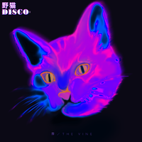 野猫DISCO