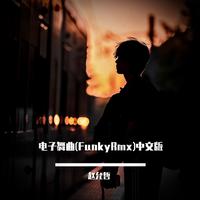 电子舞曲(FunkyRmx)中文版