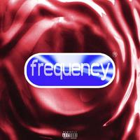 Frequency (频率)