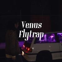 Venus Flytrap