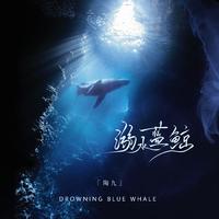 溺水蓝鲸