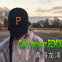 Can't prove it.（Remix）