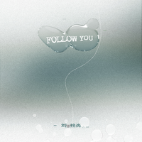 Follow you