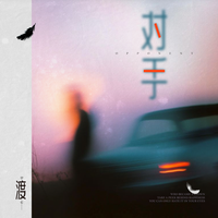 对手