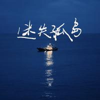 迷失孤岛