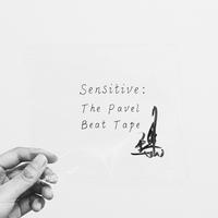 Sensitive:The Pavel Beat Tape