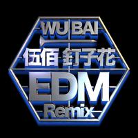 钉子花 (EDM Remix)