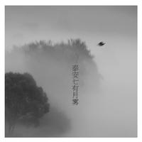 泰安七有月雾/ Mist in July