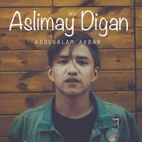 Aslimay Digan (New) 改编版