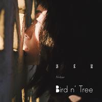 Bird n' Tree