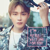 I'm Here Waiting For You